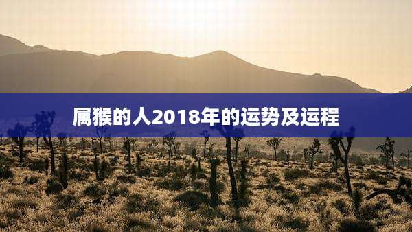 属猴的人2018年的运势及运程