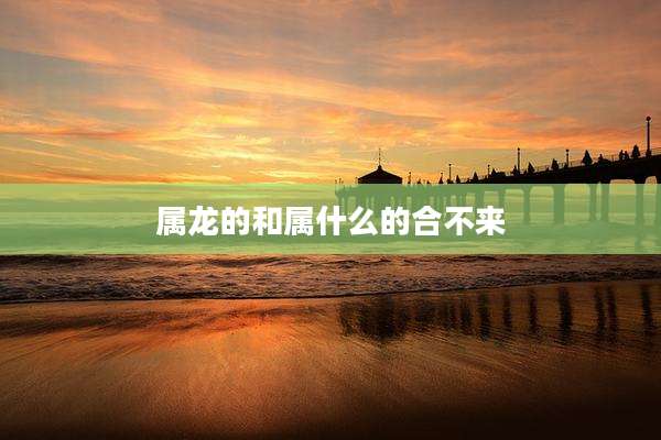 属龙的和属什么的合不来