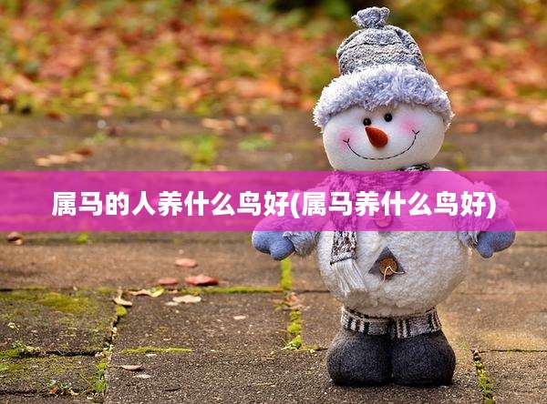 属马的人养什么鸟好(属马养什么鸟好)