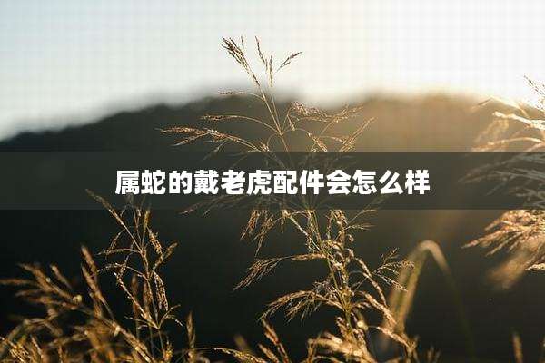 属蛇的戴老虎配件会怎么样