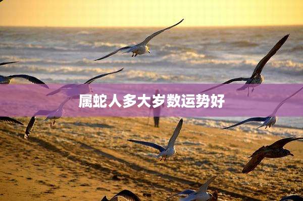 属蛇人多大岁数运势好