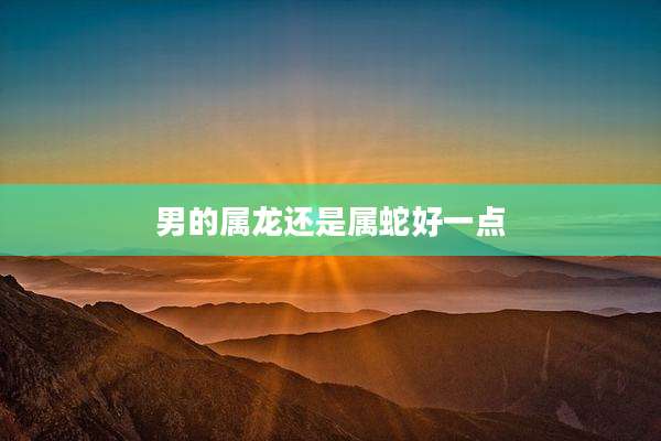 男的属龙还是属蛇好一点