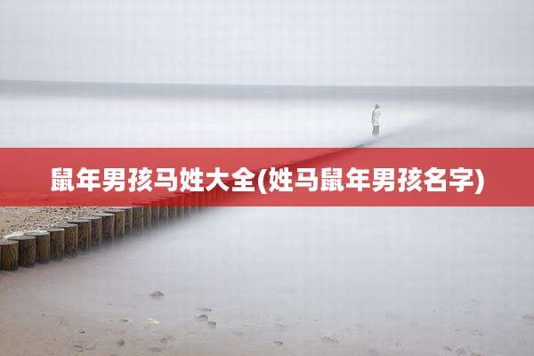 鼠年男孩马姓大全(姓马鼠年男孩名字)