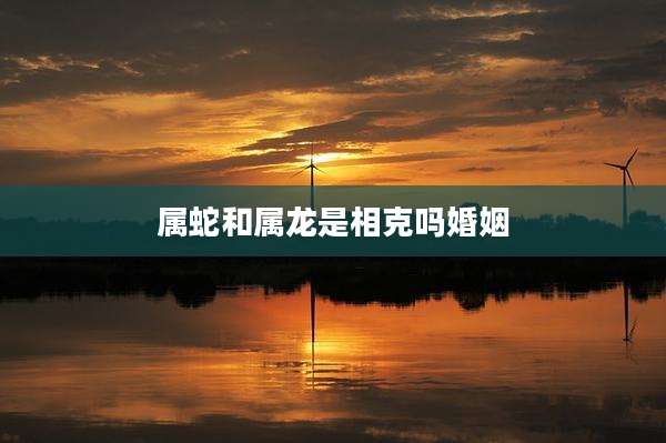 属蛇和属龙是相克吗婚姻