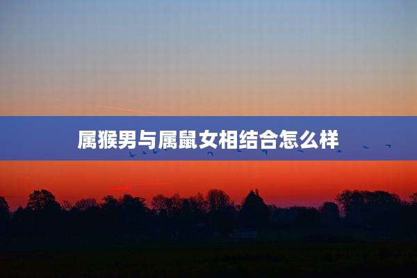 属猴男与属鼠女相结合怎么样