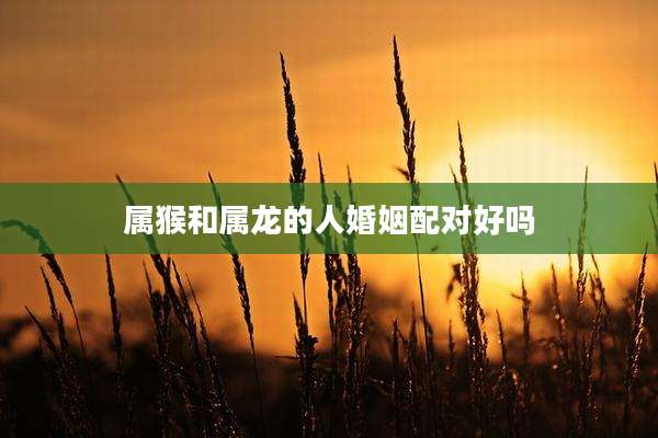 属猴和属龙的人婚姻配对好吗