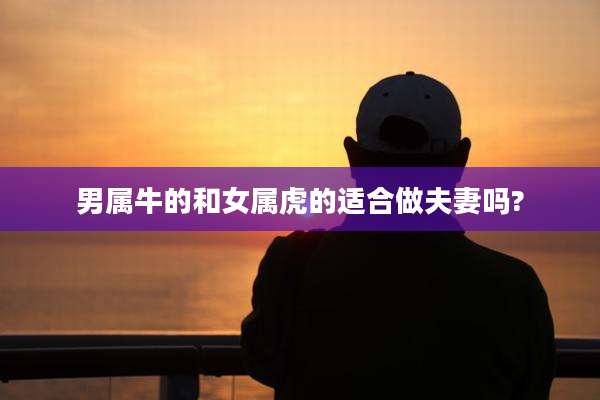 男属牛的和女属虎的适合做夫妻吗?
