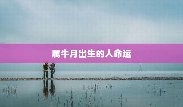 属牛月出生的人命运