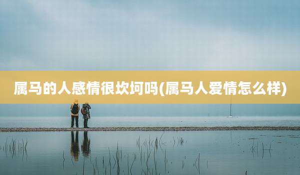 属马的人感情很坎坷吗(属马人爱情怎么样)