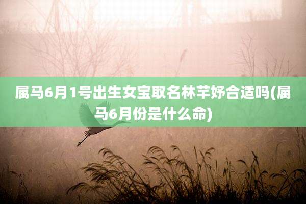 属马6月1号出生女宝取名林芊妤合适吗(属马6月份是什么命)