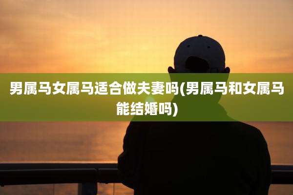 男属马女属马适合做夫妻吗(男属马和女属马能结婚吗)