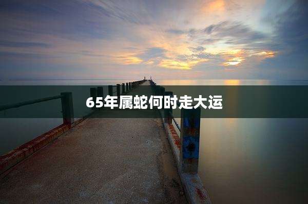65年属蛇何时走大运