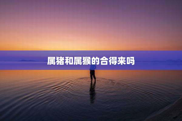 属猪和属猴的合得来吗