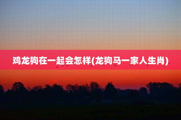 鸡龙狗在一起会怎样(龙狗马一家人生肖)