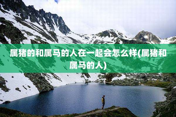 属猪的和属马的人在一起会怎么样(属猪和属马的人)
