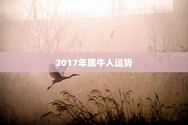 2017年属牛人运势