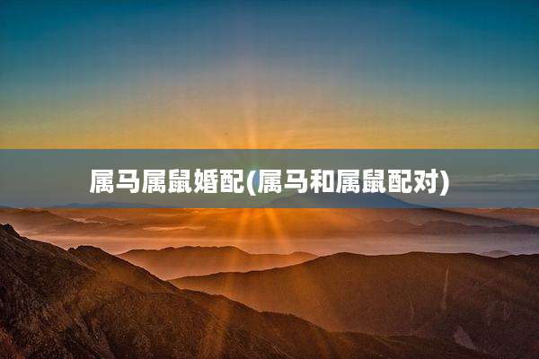 属马属鼠婚配(属马和属鼠配对)