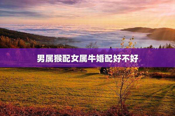 男属猴配女属牛婚配好不好