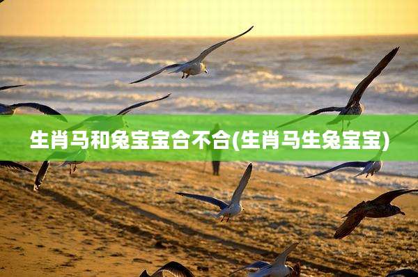 生肖马和兔宝宝合不合(生肖马生兔宝宝)