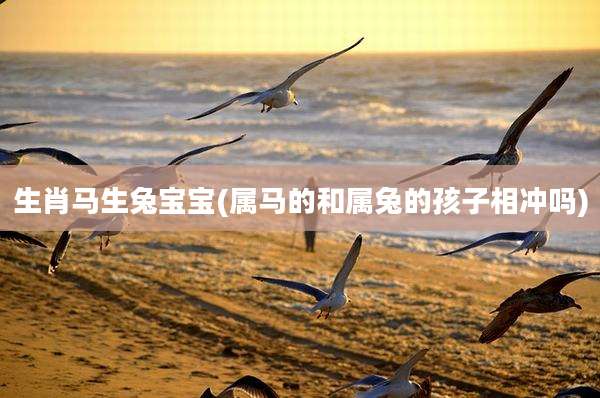 生肖马生兔宝宝(属马的和属兔的孩子相冲吗)