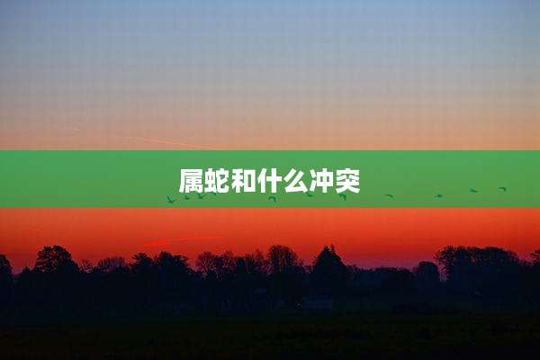 属蛇和什么冲突