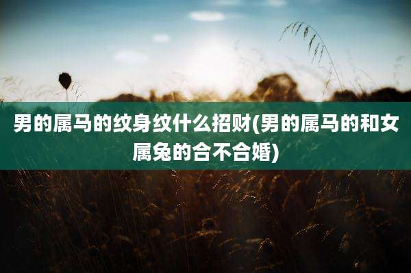 男的属马的纹身纹什么招财(男的属马的和女属兔的合不合婚)