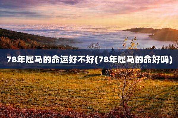 78年属马的命运好不好(78年属马的命好吗)