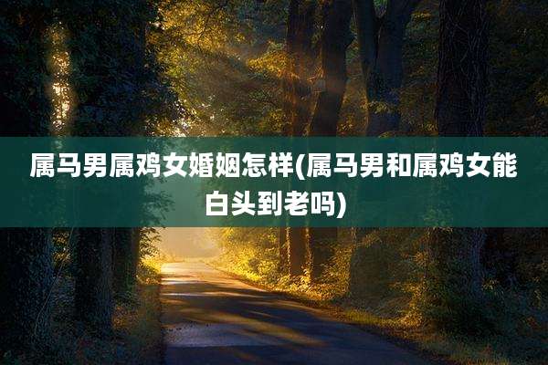 属马男属鸡女婚姻怎样(属马男和属鸡女能白头到老吗)