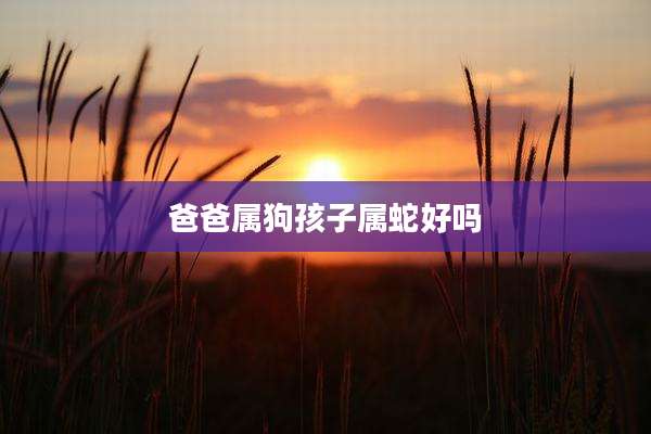 爸爸属狗孩子属蛇好吗