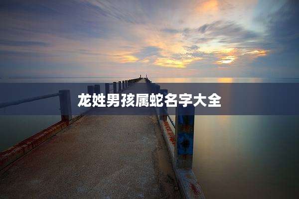 龙姓男孩属蛇名字大全