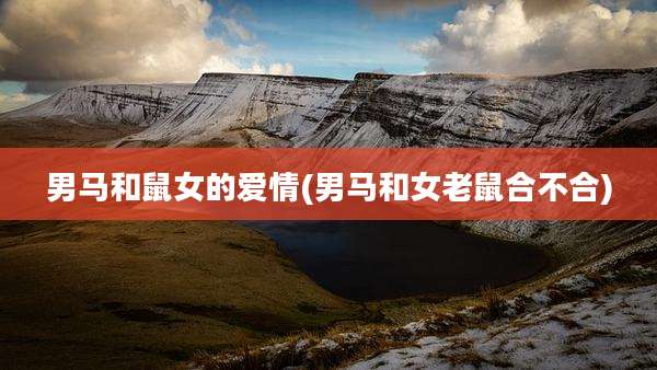 男马和鼠女的爱情(男马和女老鼠合不合)