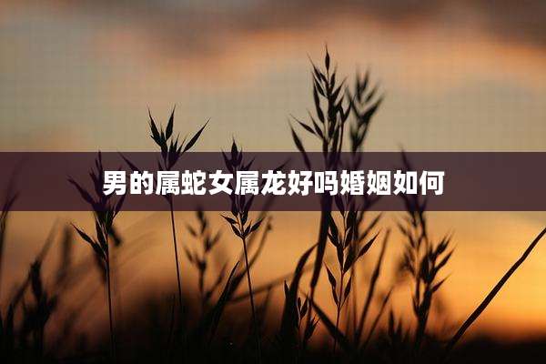 男的属蛇女属龙好吗婚姻如何