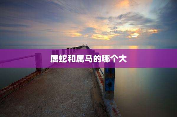 属蛇和属马的哪个大