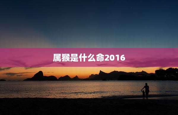 属猴是什么命2016