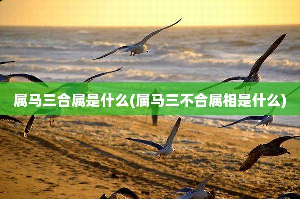 属马三合属是什么(属马三不合属相是什么)