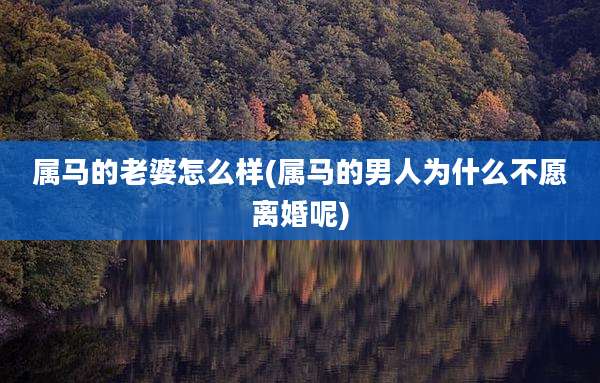 属马的老婆怎么样(属马的男人为什么不愿离婚呢)