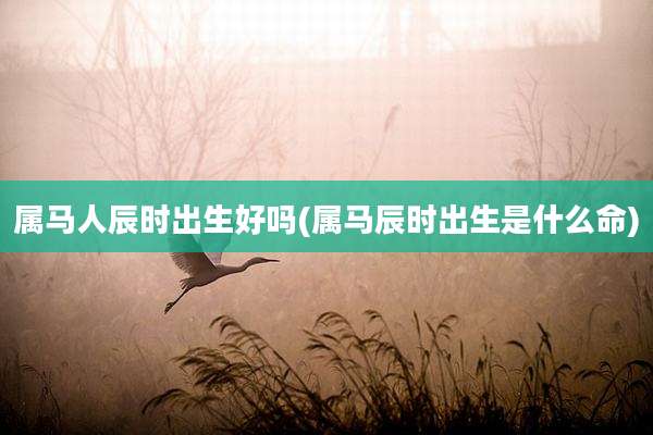 属马人辰时出生好吗(属马辰时出生是什么命)
