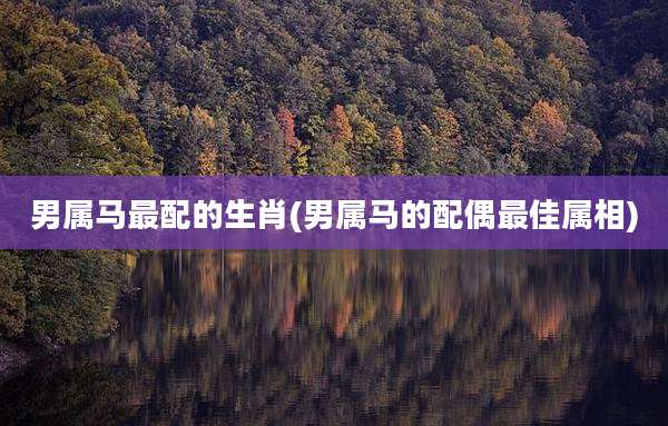 男属马最配的生肖(男属马的配偶最佳属相)