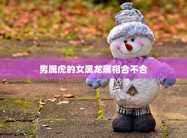 男属虎的女属龙属相合不合