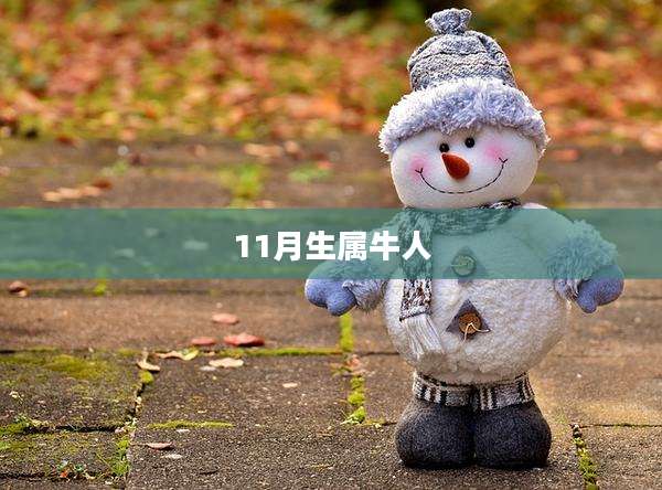11月生属牛人
