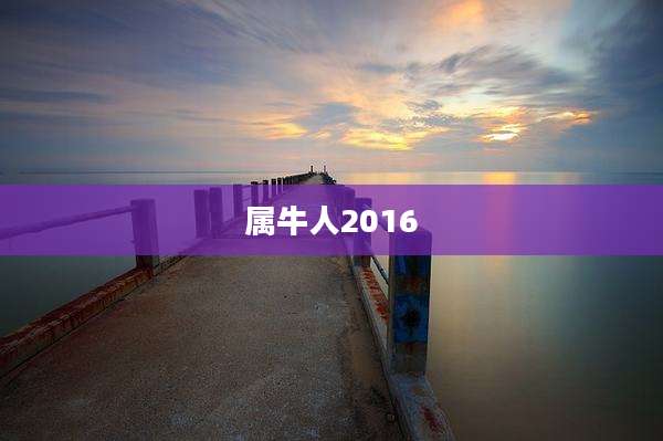 属牛人2016