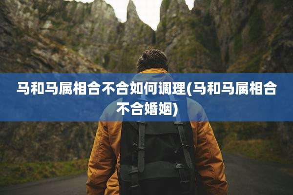 马和马属相合不合如何调理(马和马属相合不合婚姻)