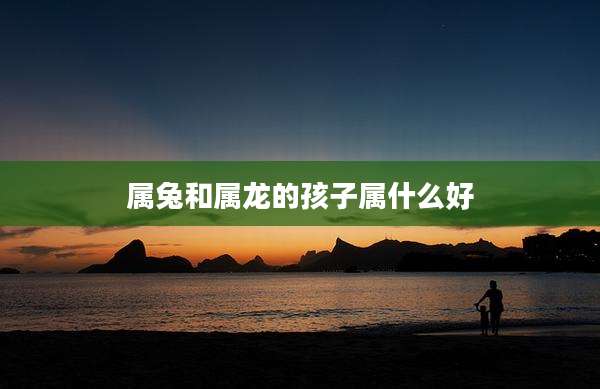 属兔和属龙的孩子属什么好