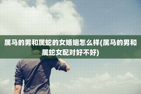 属马的男和属蛇的女婚姻怎么样(属马的男和属蛇女配对好不好)