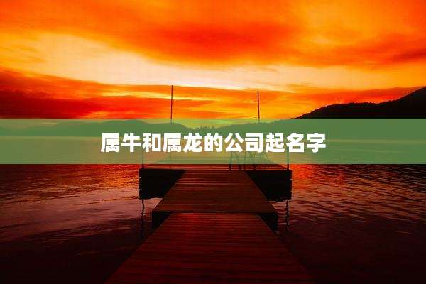 属牛和属龙的公司起名字
