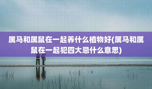 属马和属鼠在一起养什么植物好(属马和属鼠在一起犯四大忌什么意思)