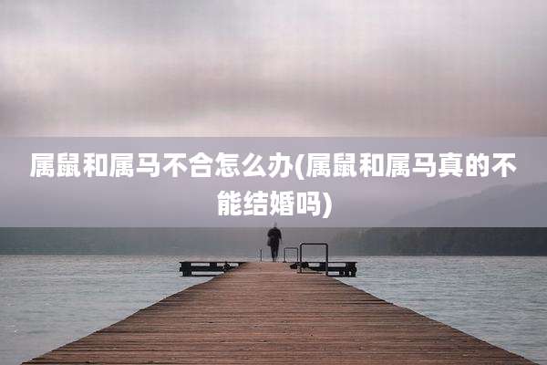 属鼠和属马不合怎么办(属鼠和属马真的不能结婚吗)