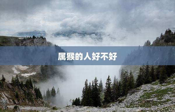 属猴的人好不好