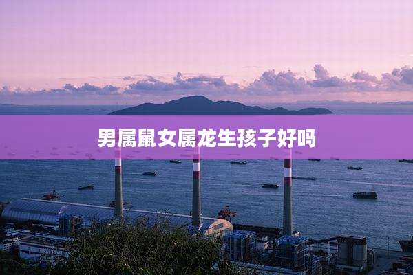男属鼠女属龙生孩子好吗