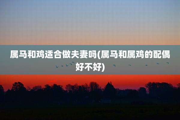 属马和鸡适合做夫妻吗(属马和属鸡的配偶好不好)